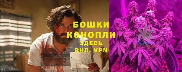 стафф Белокуриха
