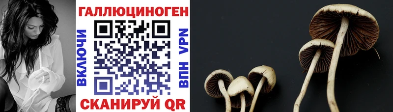 как найти закладки  Богородск  кракен маркетплейс  Галлюциногенные грибы Magic Shrooms 